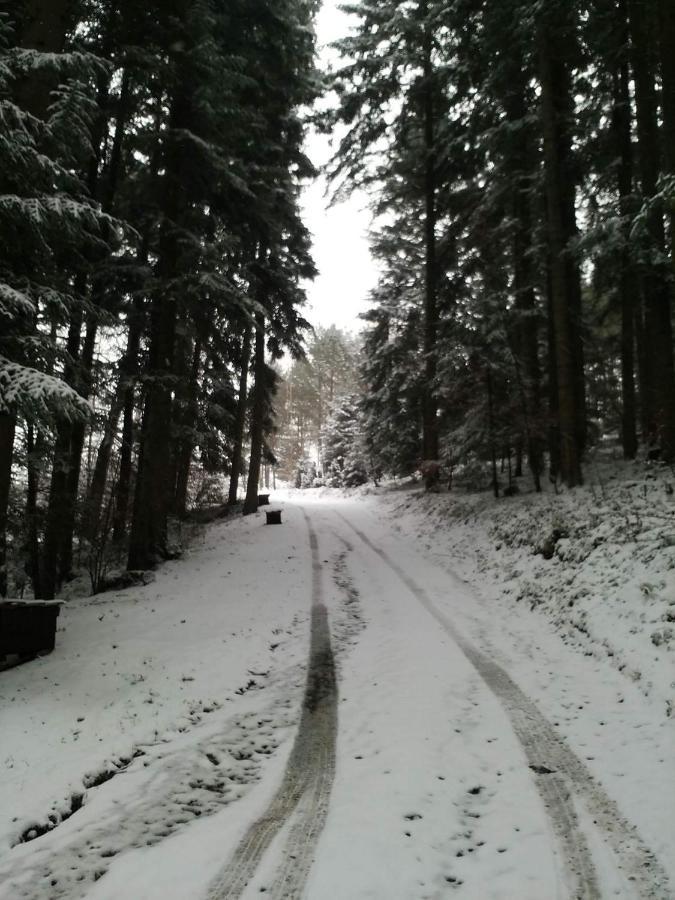 Domek Na Gorce Bieszczady Lesko Eksteriør billede