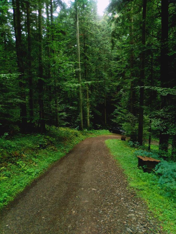 Domek Na Gorce Bieszczady Lesko Eksteriør billede