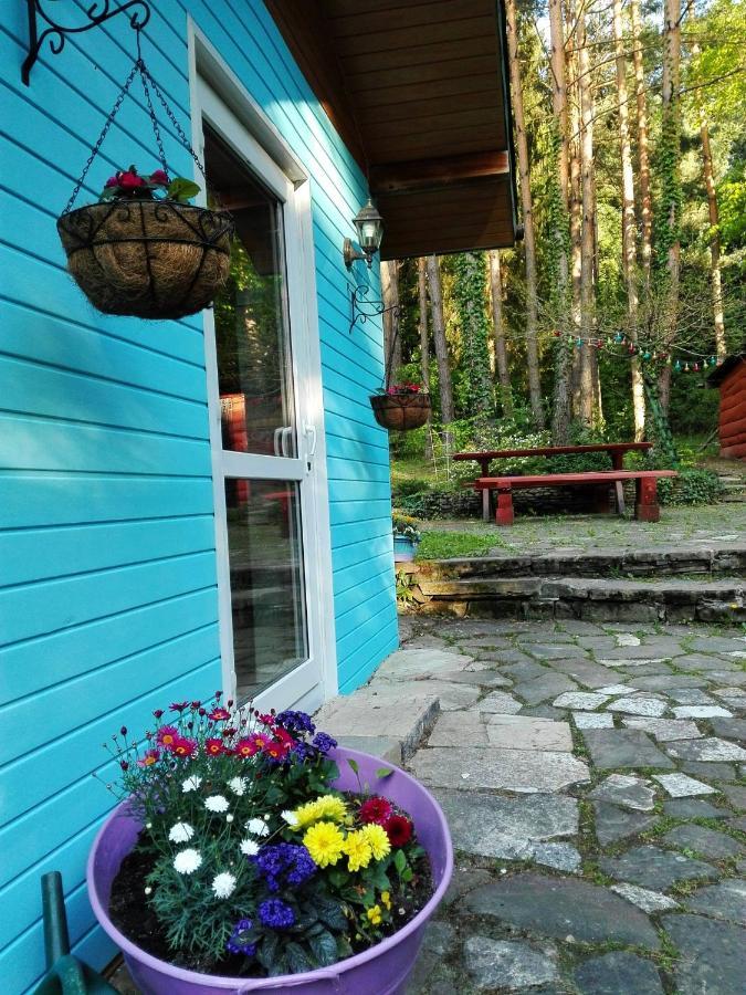 Domek Na Gorce Bieszczady Lesko Eksteriør billede