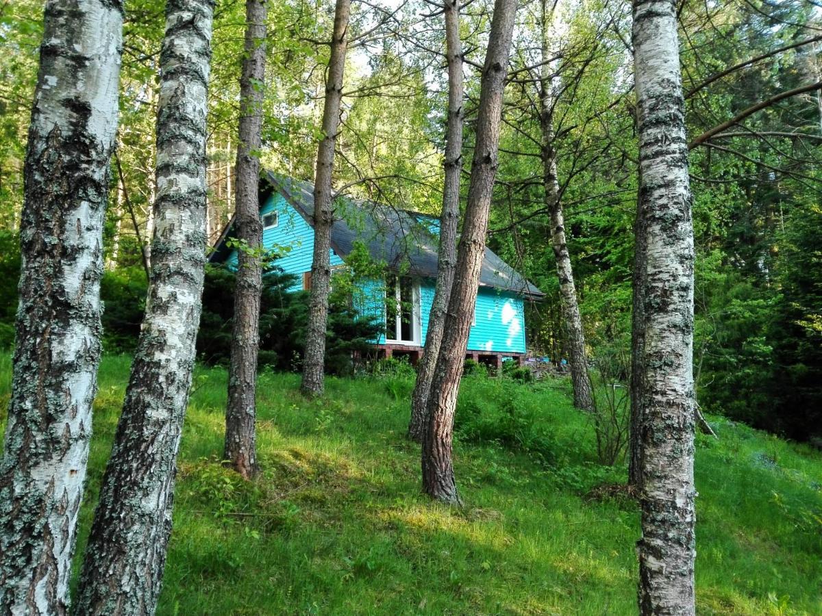 Domek Na Gorce Bieszczady Lesko Eksteriør billede