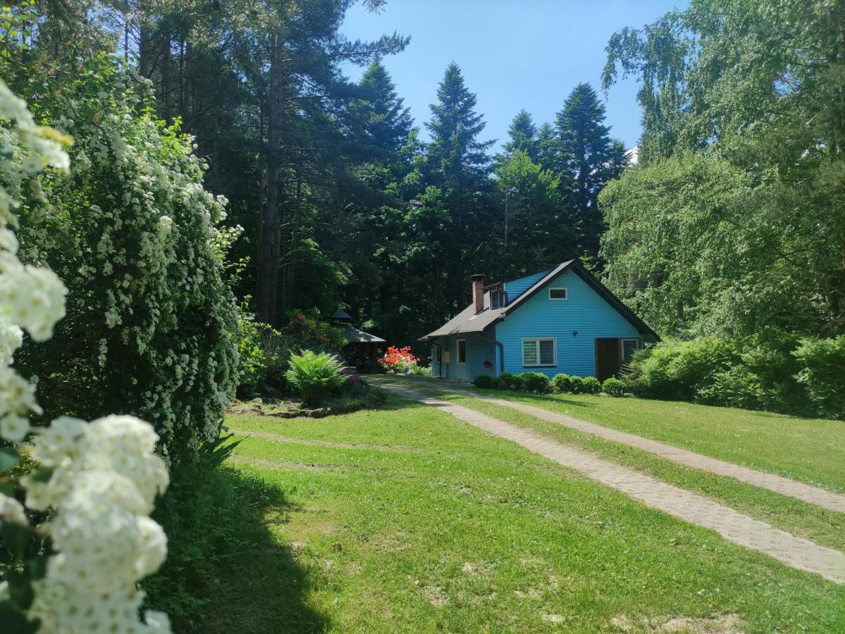 Domek Na Gorce Bieszczady Lesko Eksteriør billede
